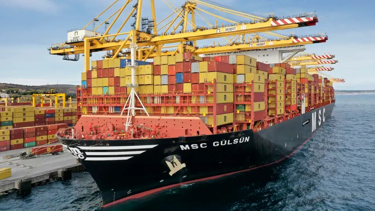 MSC Surpasses 7 Million TEUs, Strengthening Its Global Leadership ...